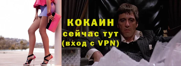 мет Новозыбков