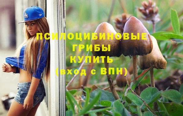 мет Новозыбков