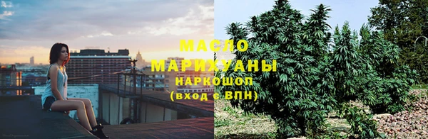 мет Новозыбков