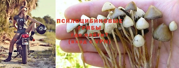 крисы Снежинск