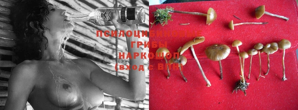 мет Новозыбков